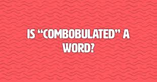 Is combobulated a word? - Wisdom Biscuits