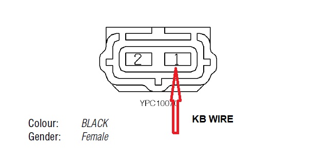 CKP wire.jpg