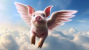 flying pig.jpeg