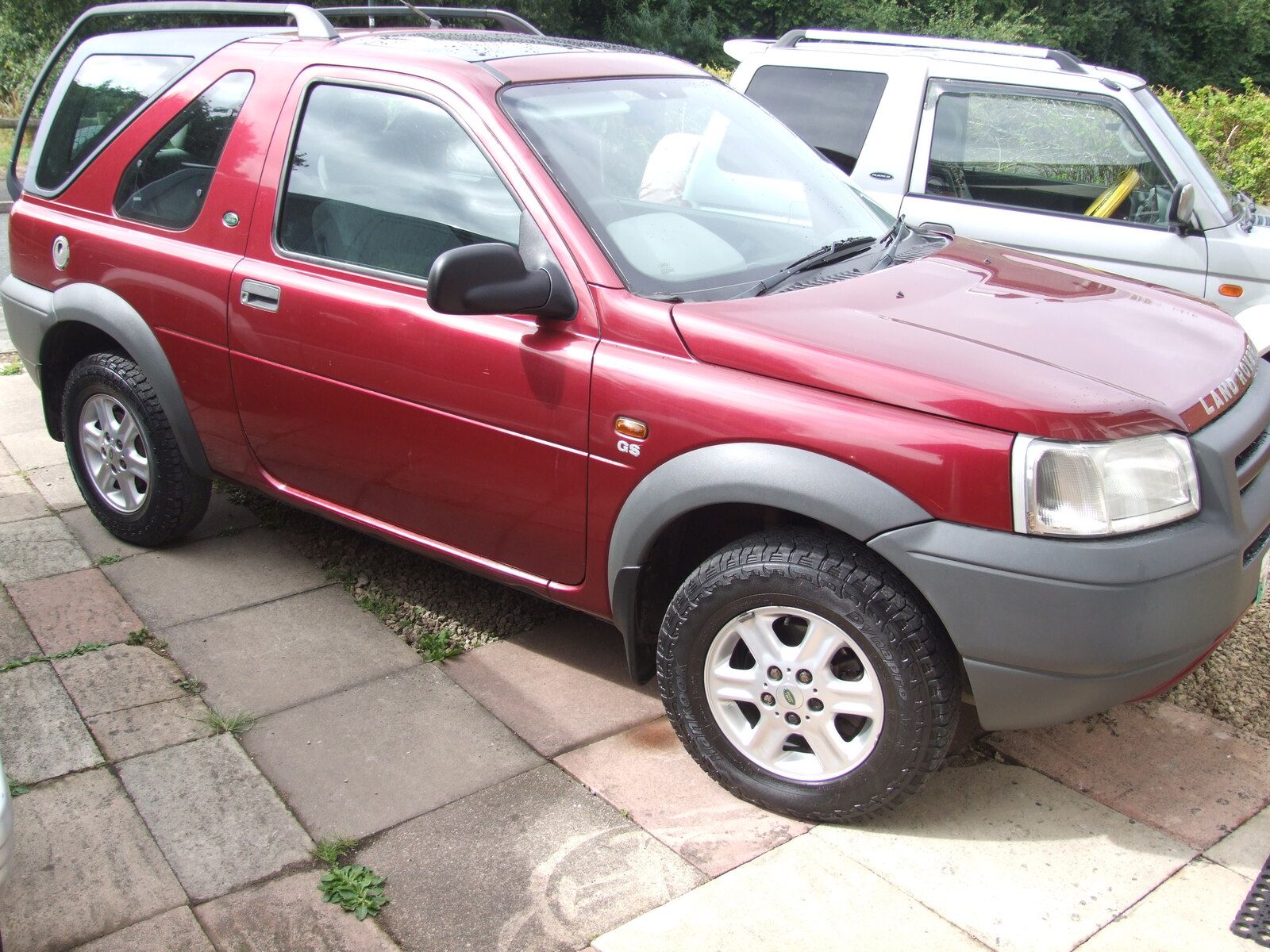 Freelander Rosie just arrived (1).JPG