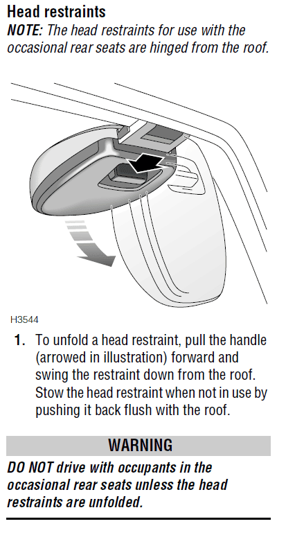 LRD Head restraint (2).PNG