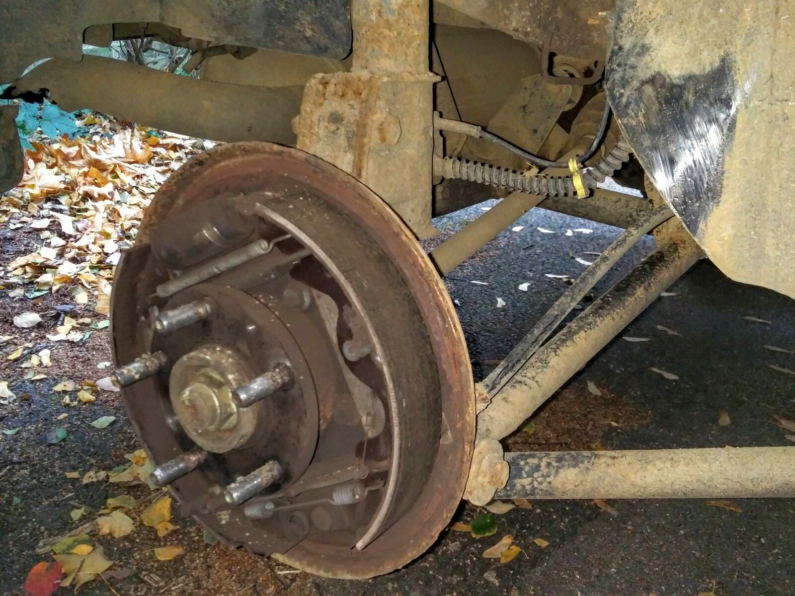 Rear Brake (&rub).jpg