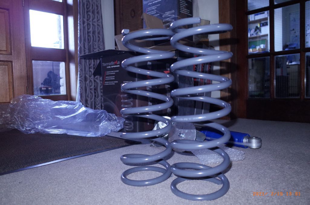 rear-springs-TFlight.JPG