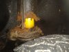 2012-05-04 14.10.54.jpg
