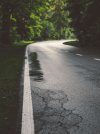 rural-road-wet-rain-puddle-trees.jpg