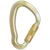 big_dan_carabiner_1200x1200-591322535.jpg