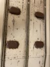 IMG_0909.jpeg