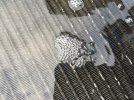 IMG_8488.jpeg