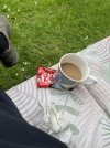 IMG_7167.jpeg