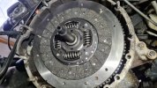 LOF-PClutch2.jpg