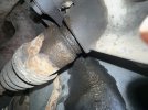 IMG_0631.jpeg