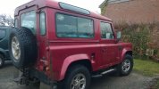 Landy with sticker.jpg