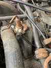 IMG_5355.jpeg