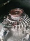 20250815_132110.jpg