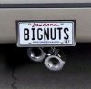 BIGNUTS.jpg