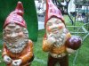 gnomes_470x352.jpg