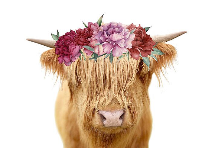 cow with flowers.jpg