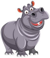hippo.jpeg
