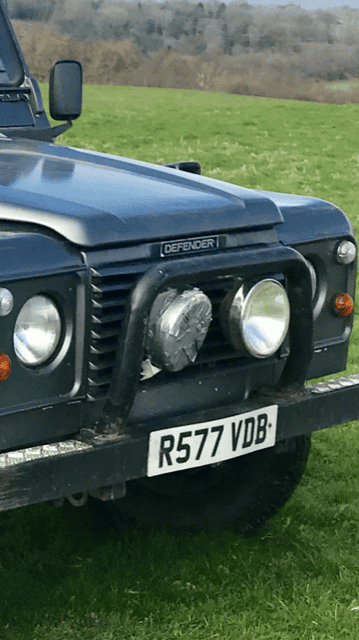 landy 2.PNG