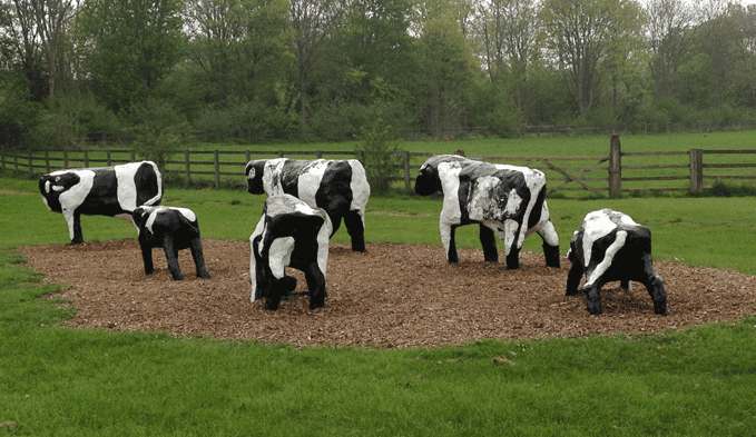 Replica-Concrete-Cows.png