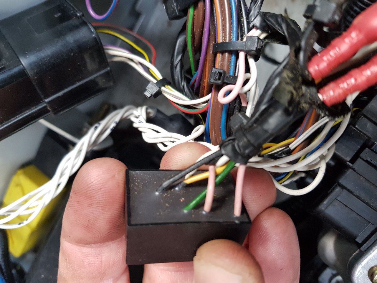 td5 ecu wiring.jpg