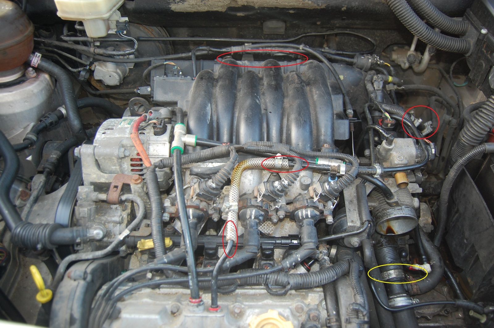 Underbonnet1.jpg