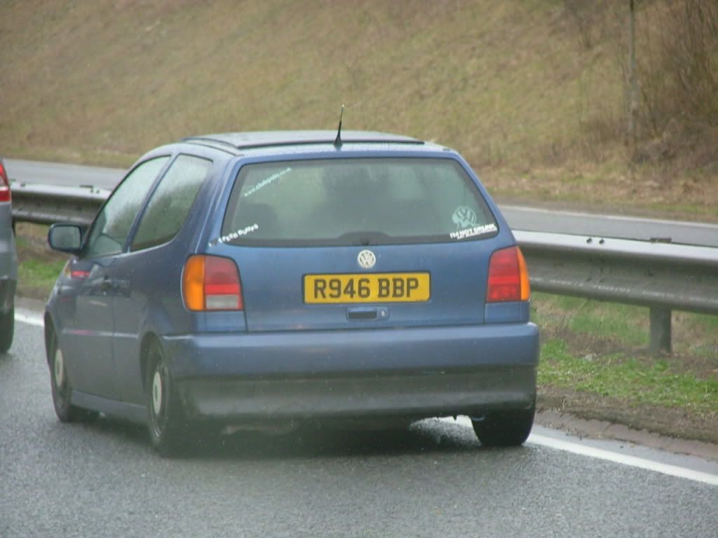 easter2010laning027.jpg