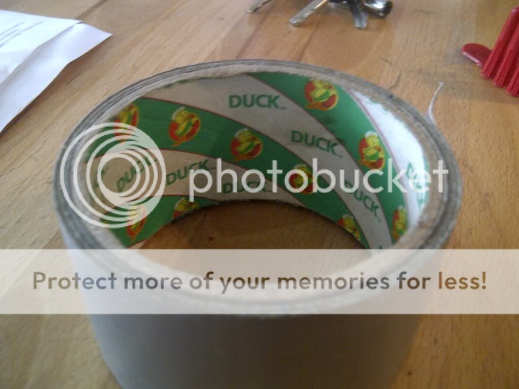 duck001.jpg