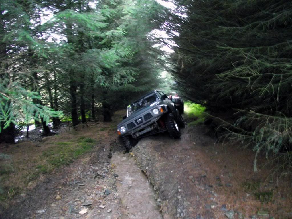DSCF9956.jpg