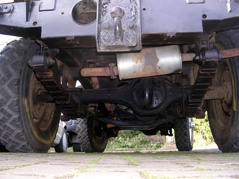 landy88_06.jpg