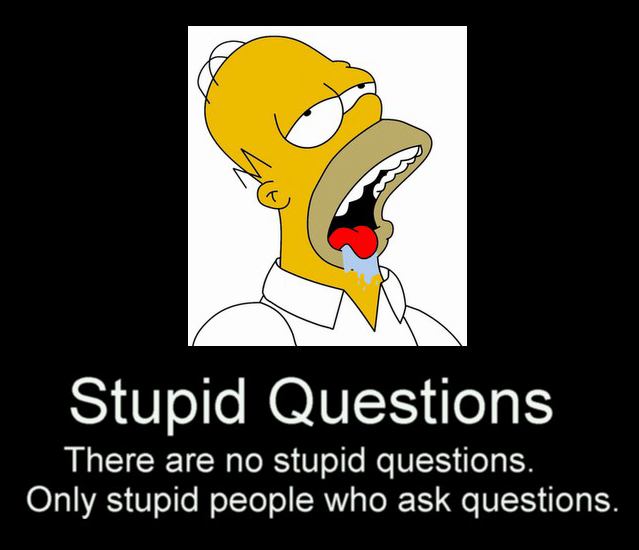 Stupid_Questions_by_funny_pics_club.jpg