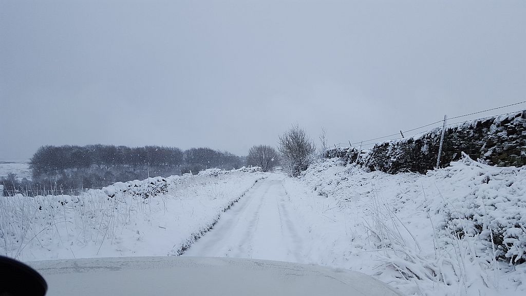 20160304_083247.jpg