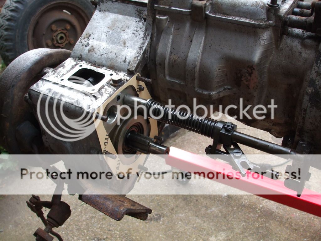 f81818e9.jpg