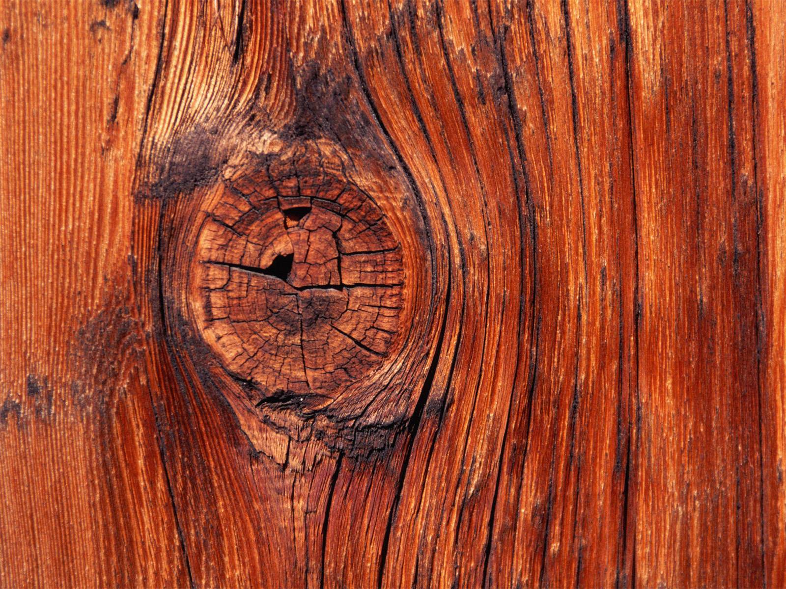 vista-wallpaper-knot-in-the-wood.jpg