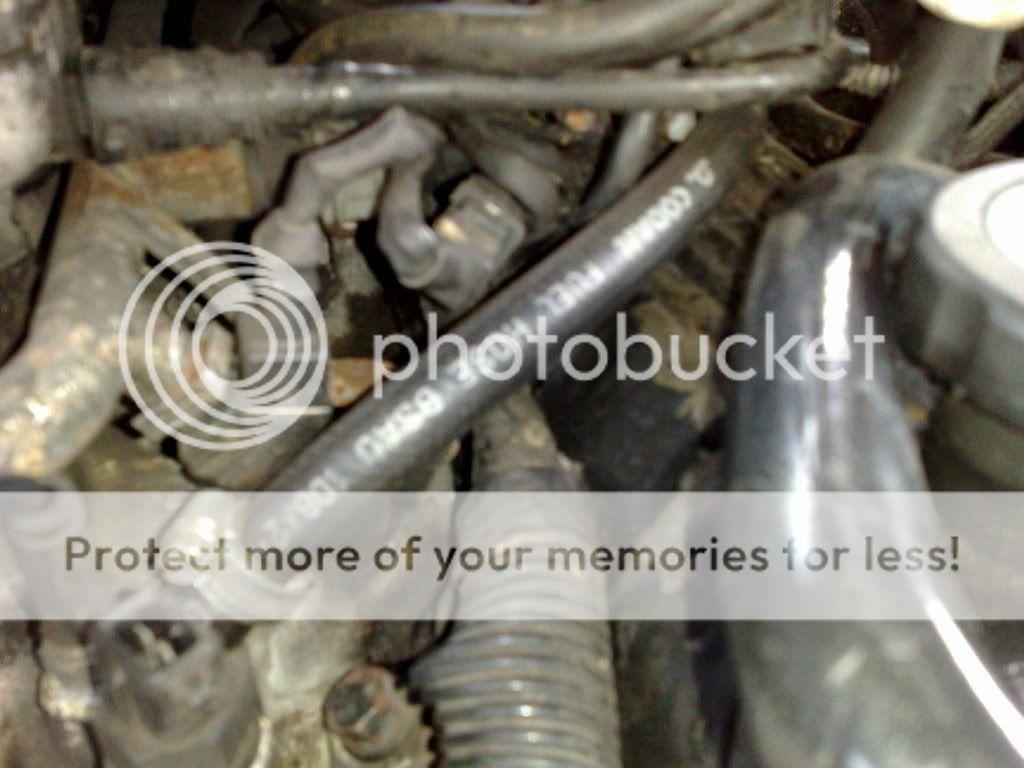 24012009189.jpg