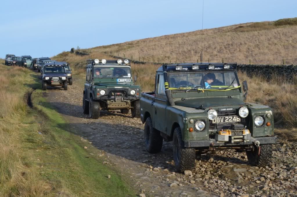 DSC_0345.jpg