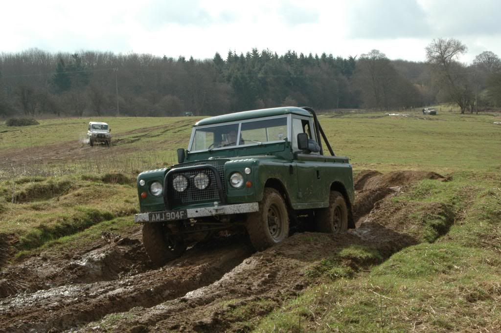 DSC_0231.jpg