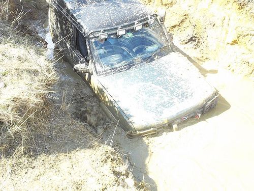 muddy-1_zps96058b85.jpg