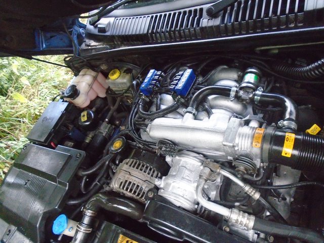 kZfRV8gl.jpg