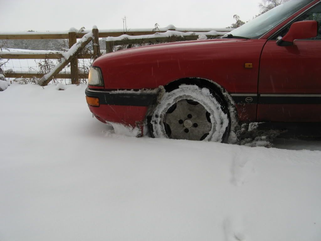 snowdecember2004.jpg