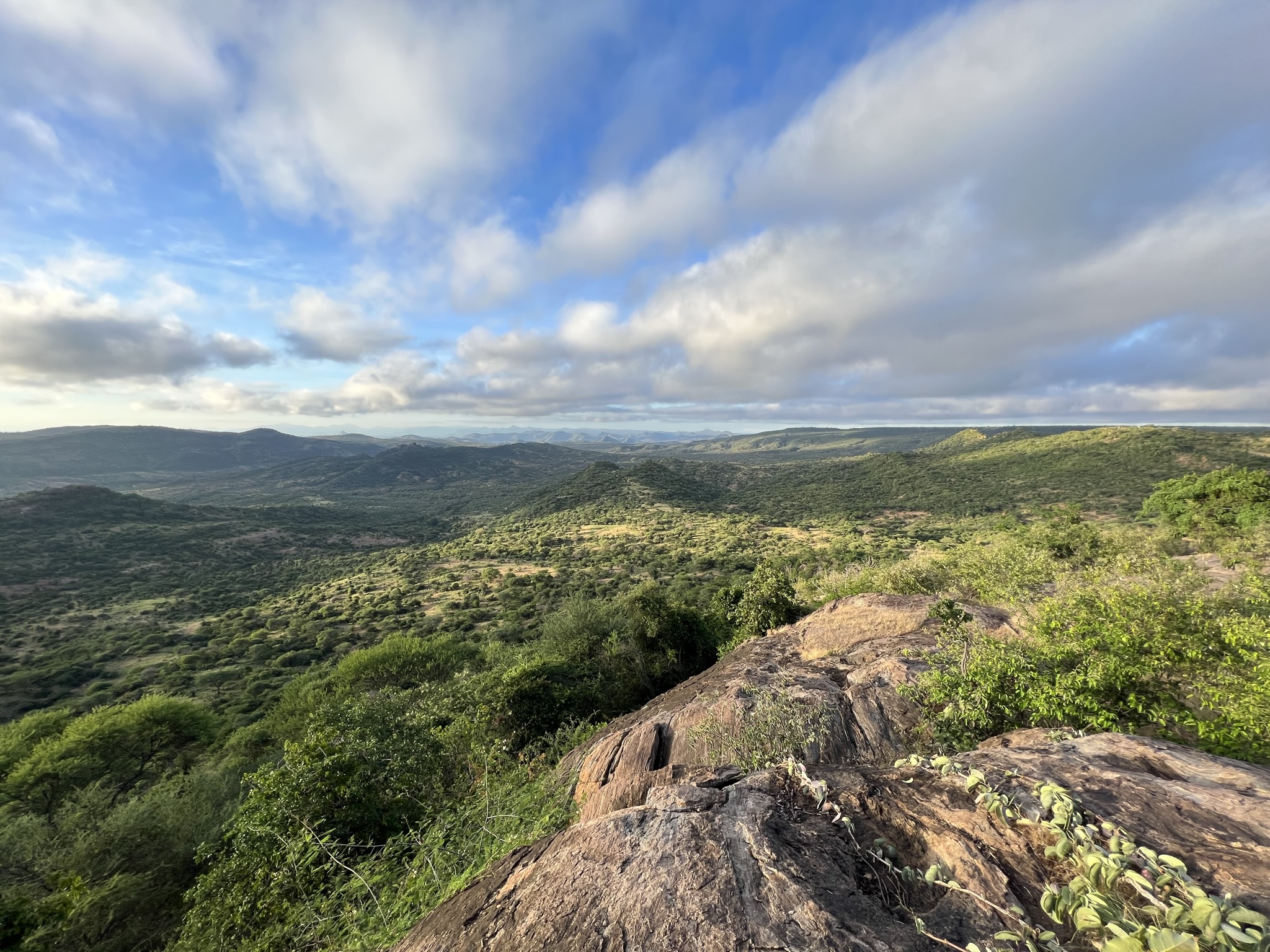 rhinocharge.co.ke