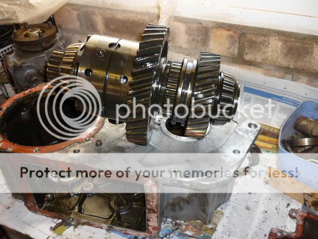 P1050055_zpse1fbec09.jpg