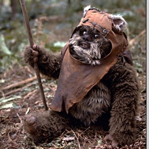 ewok.jpg