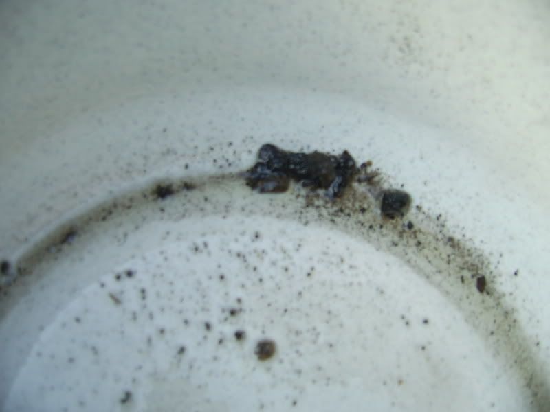 SA402796.jpg