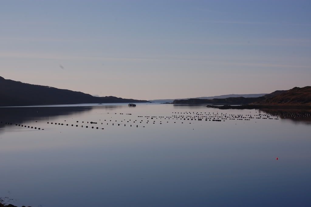 DSC_0232.jpg