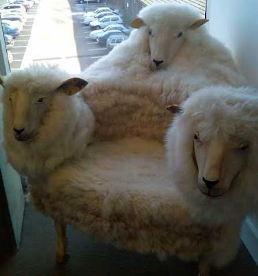 sheepchair.jpg