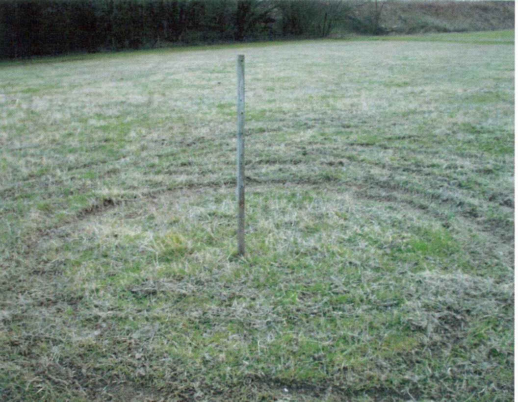 ruined_pasture_beggars_lane_abinger_hammer1.jpg