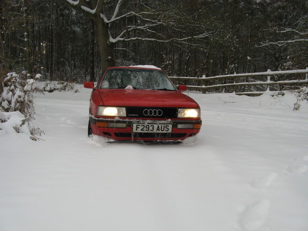 snowdecember2005.jpg