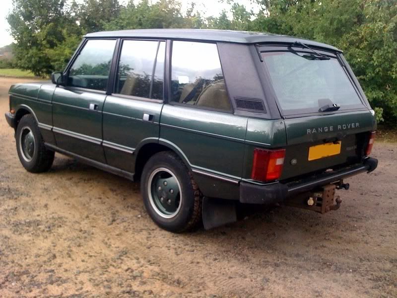 rangy3.jpg