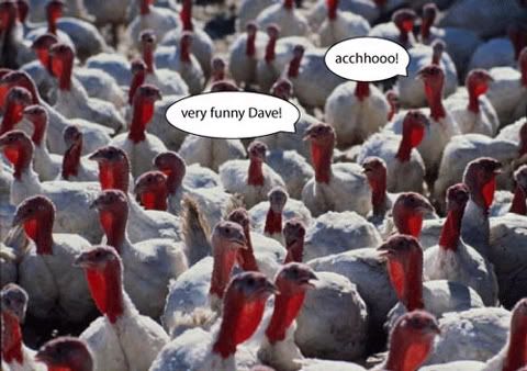 birdflu.jpg